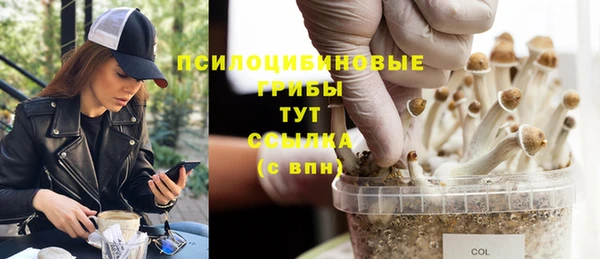 МДМА Верхний Тагил