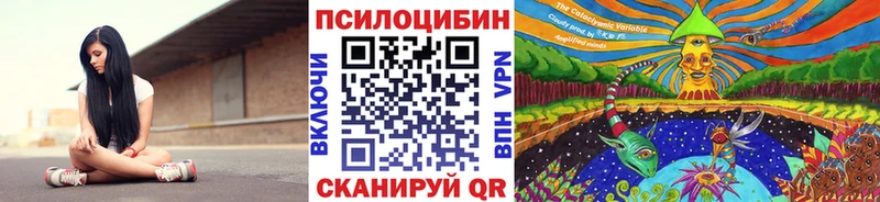 МЕГА маркетплейс  Весьегонск  Галлюциногенные грибы GOLDEN TEACHER 